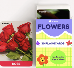 Flowers - Flash Cards